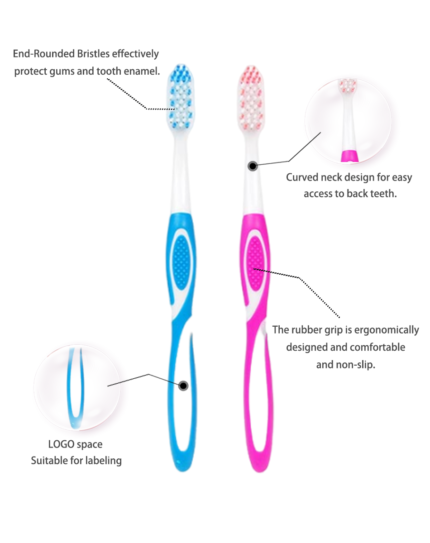 OEM Adult Toothbrush Cheap Toothbrush with 12 Pcs in One PVC Bag Support Customization
